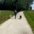 Servizio Dog Sitter
